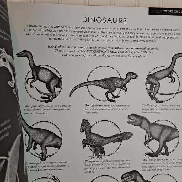 Illumisaurus Explore the World of Dinosaurs Hardcover Book w/color lens - Picture 11 of 12